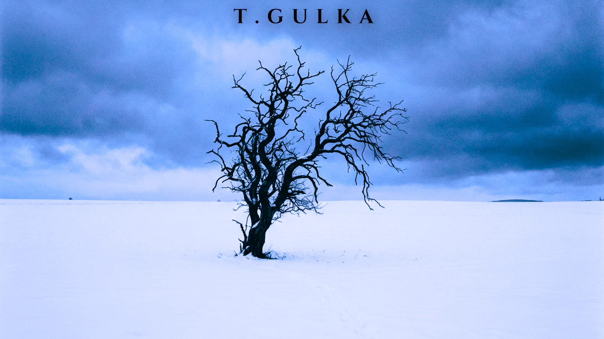 T. Gulka - The Split Second