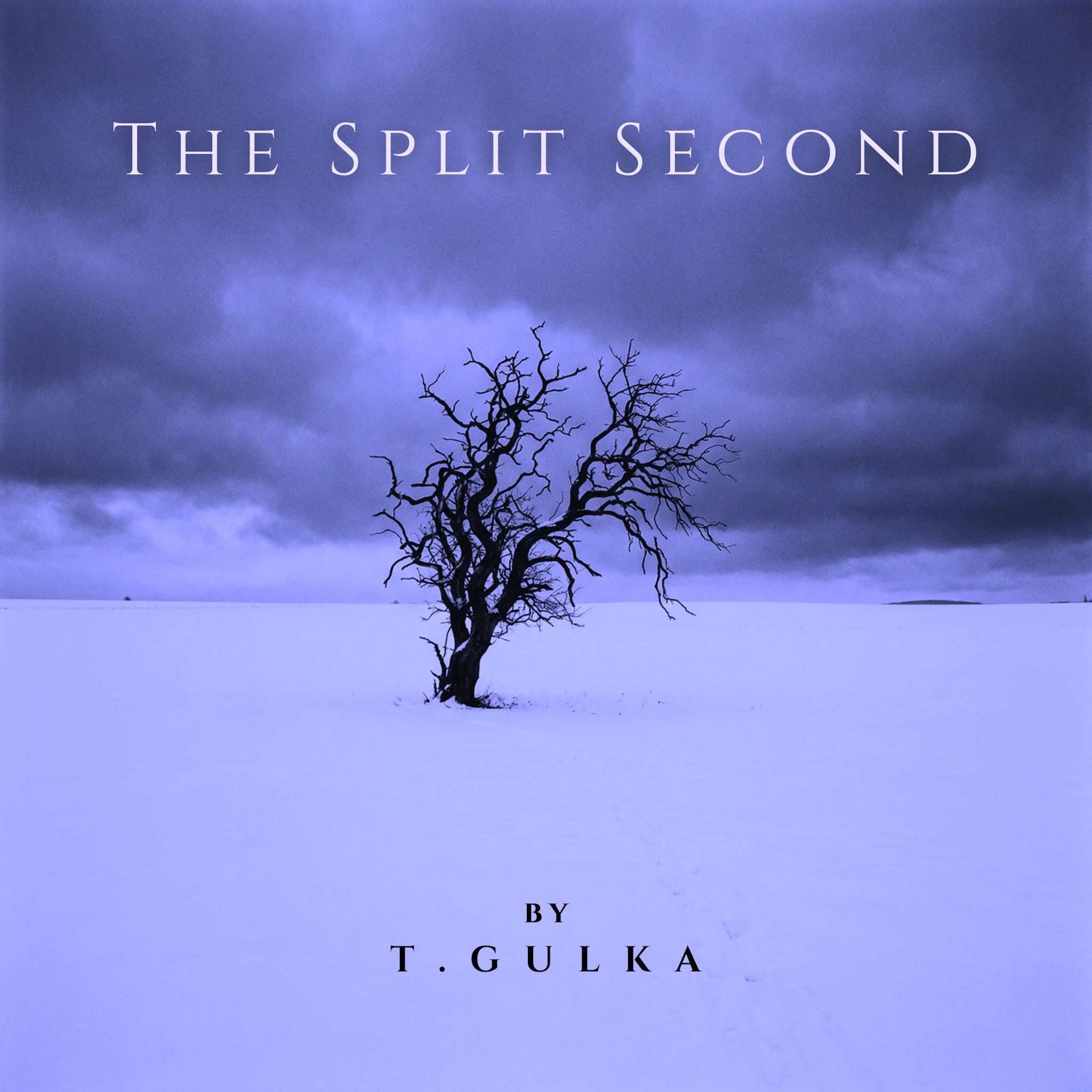 T. Gulka - The Split Second