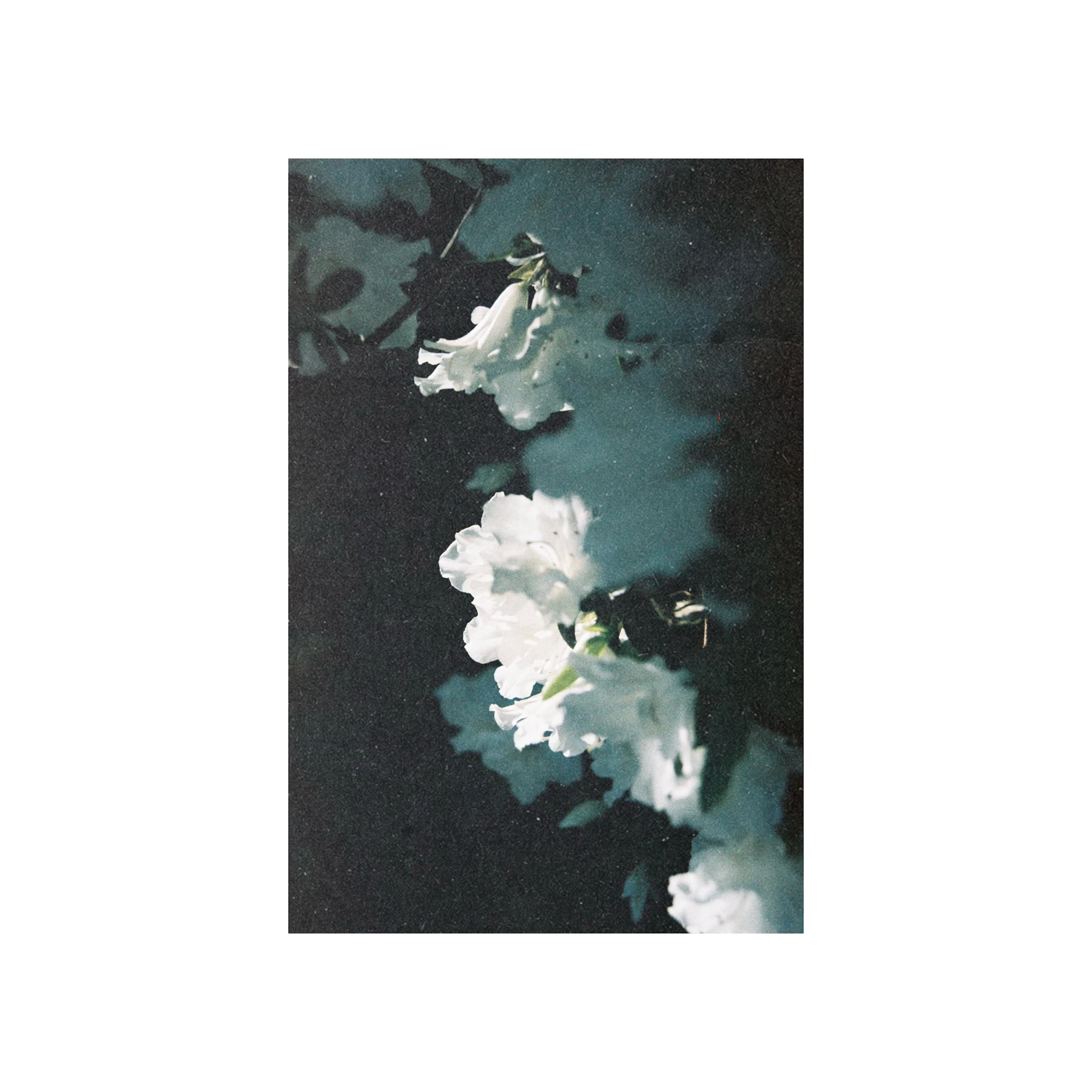 • CSR009 • Nørus 'Innature'