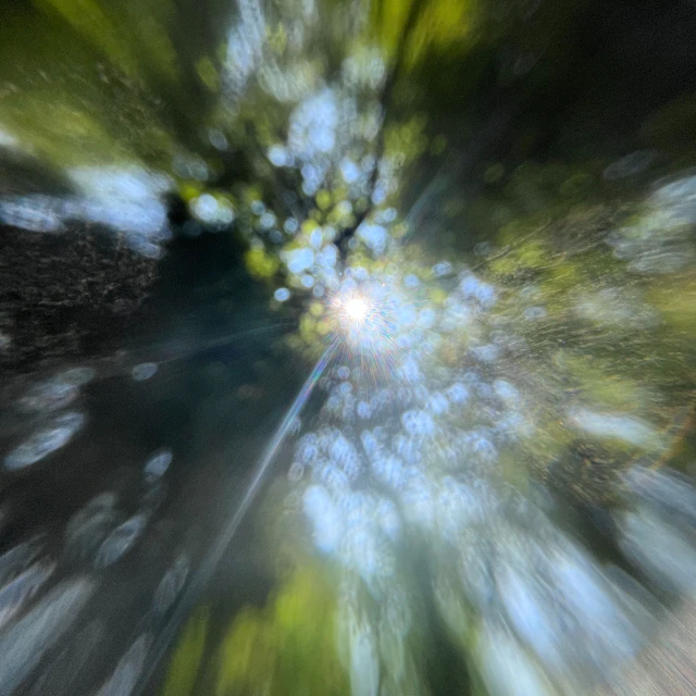 GETTING INTO GARDENING