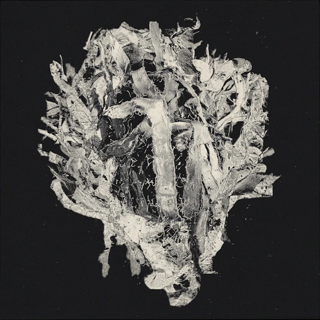 Lueenas - Canis Lupus