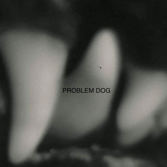 Dumbhead-Problem Dog