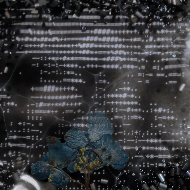 ENFANT PERDU - Chanter sous l'eau (EP)