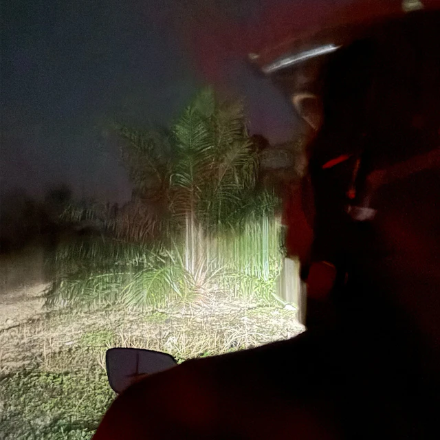 kalivas - stolen mantra