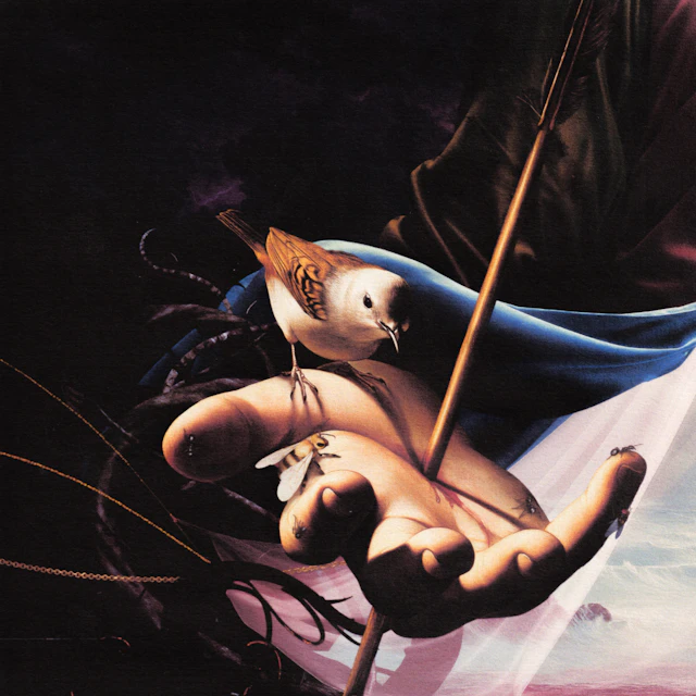 Baby Pantera — 'Support vs Congratulations' (SLA28)