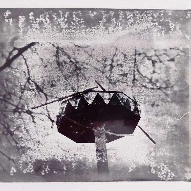 Bend Rookie - Follow Suit