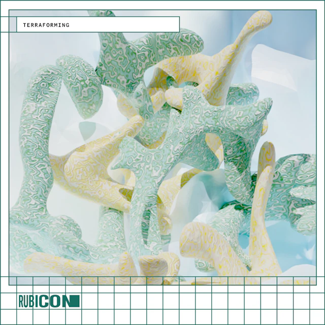 Holly Waxwing - Terraforming