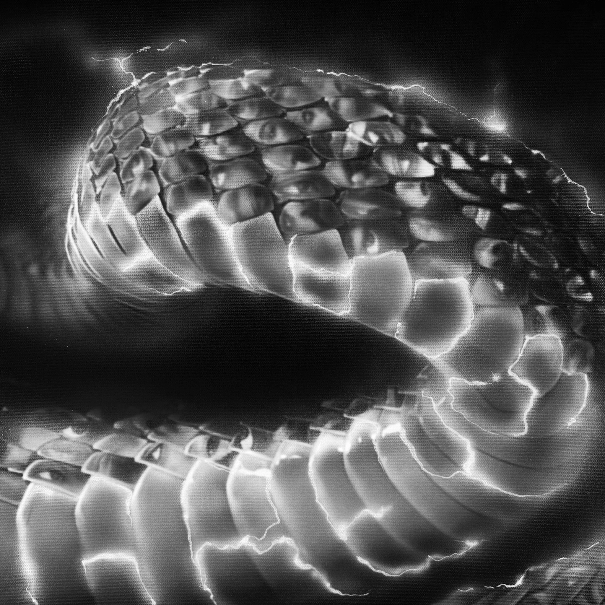 Xzavier Stone - GREYSCALE