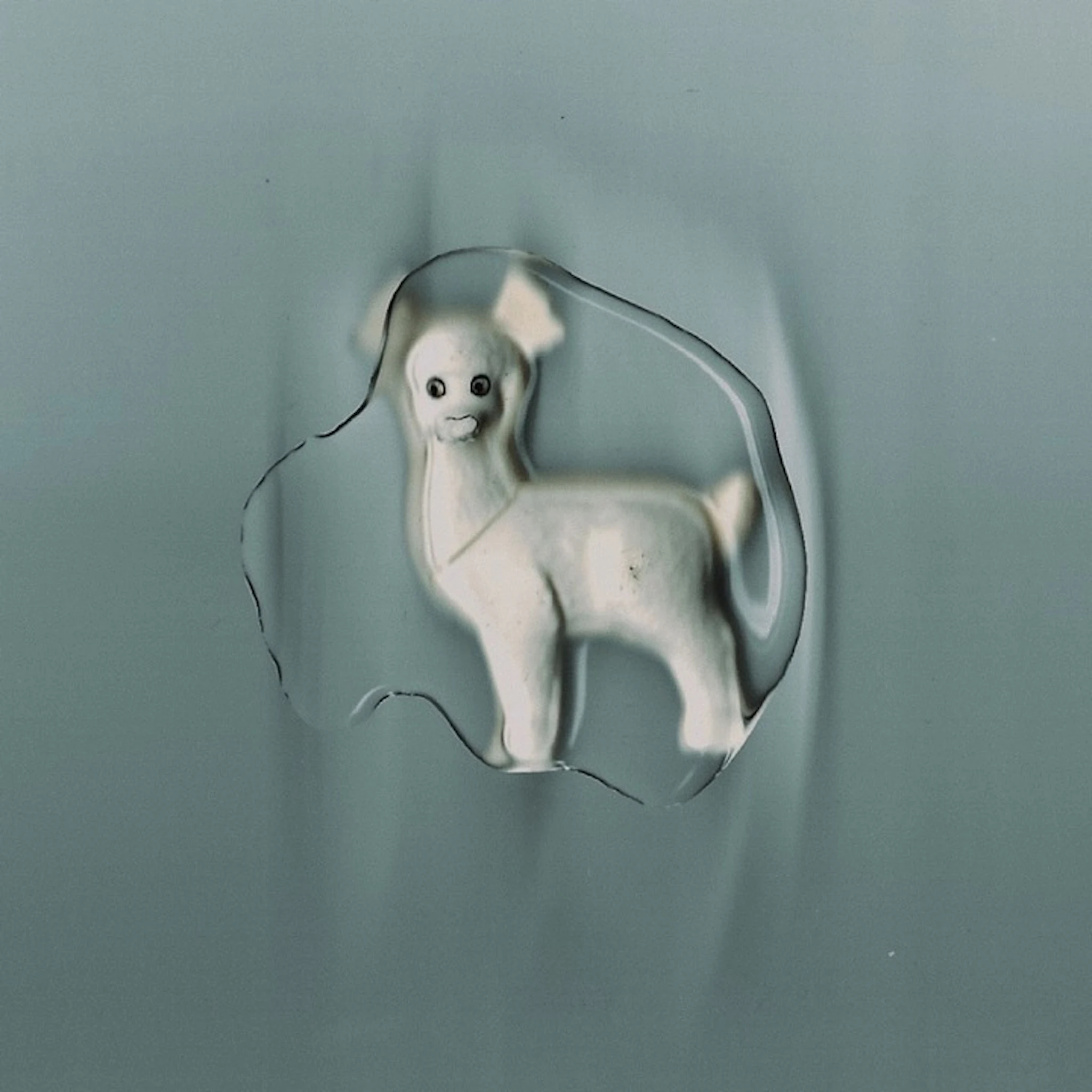 The Healing Power of Horses - i wait, i sink