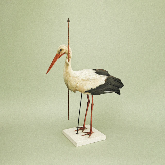 Passepartout Duo - Pieces from Places