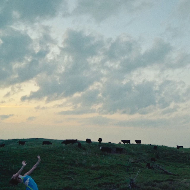 Quality Cinema Band - Billy Wants