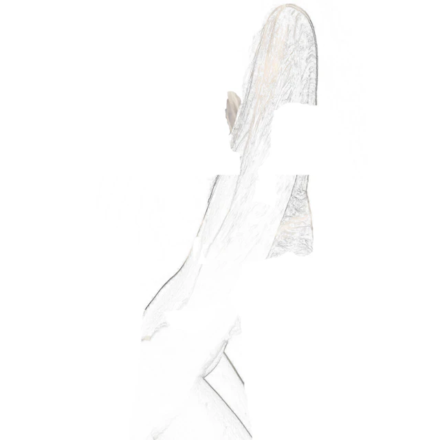 arctica1000 - Her silk.