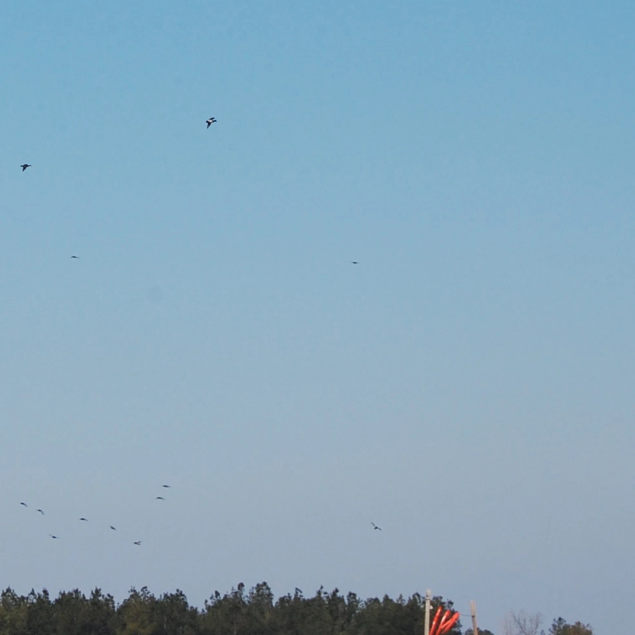 FREE WORLD TRADE - FOLDER01