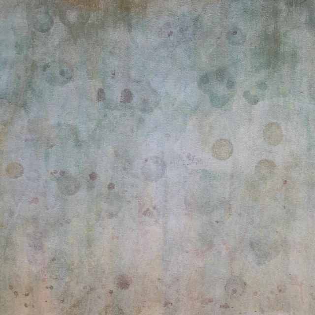 layup - endless roll