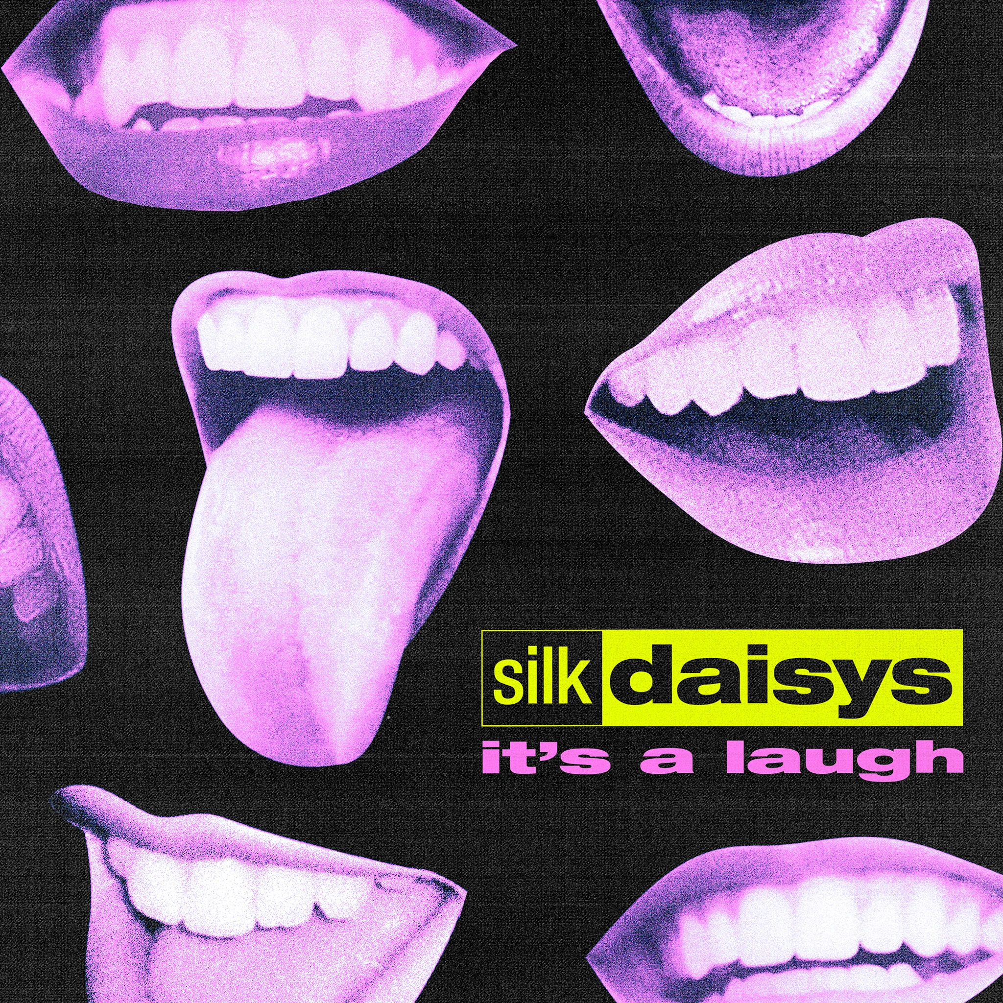 Silk Daisys - it's a laugh