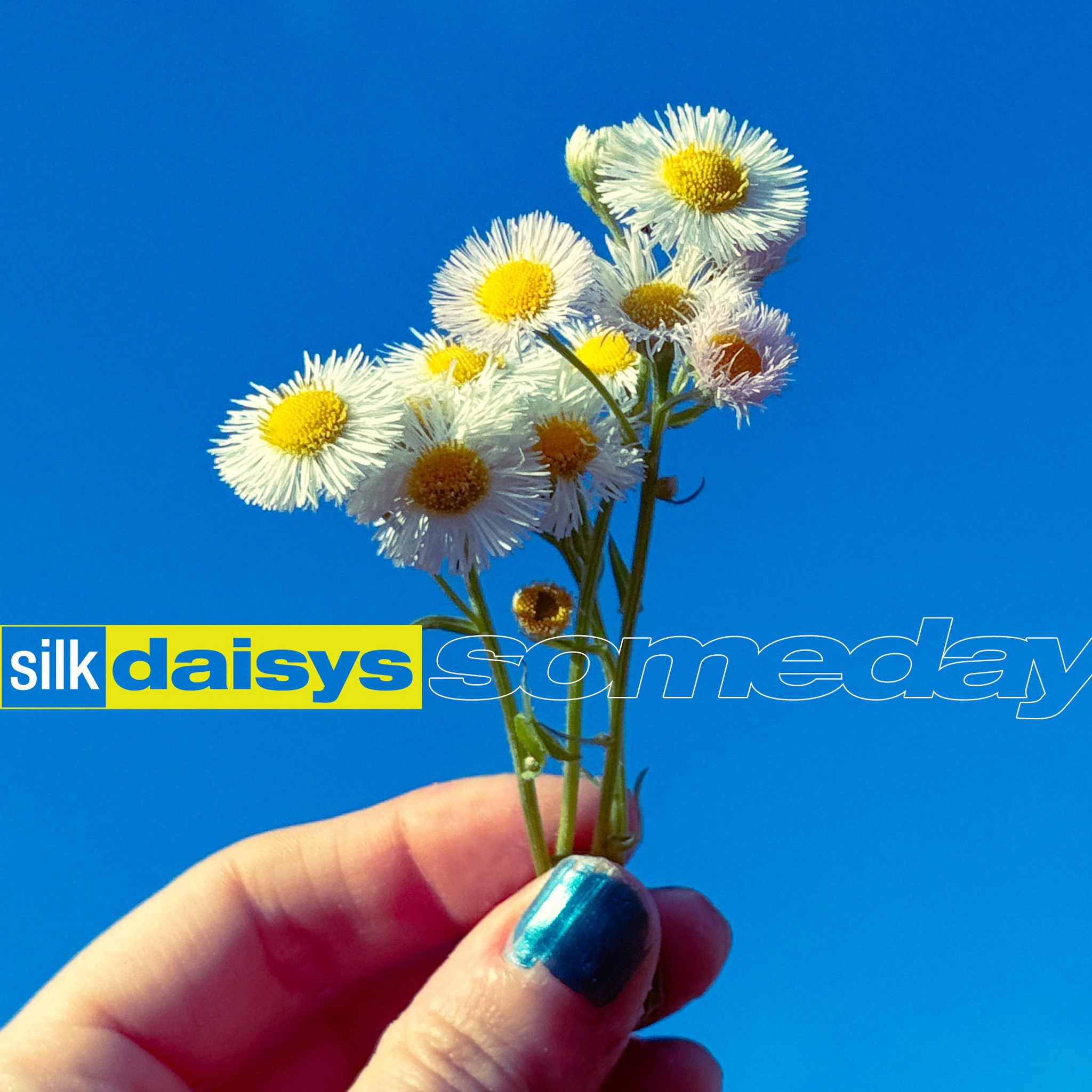 Silk Daisys - someday