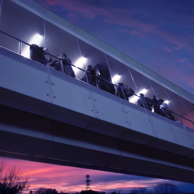 Friday Night Plans - See You Again