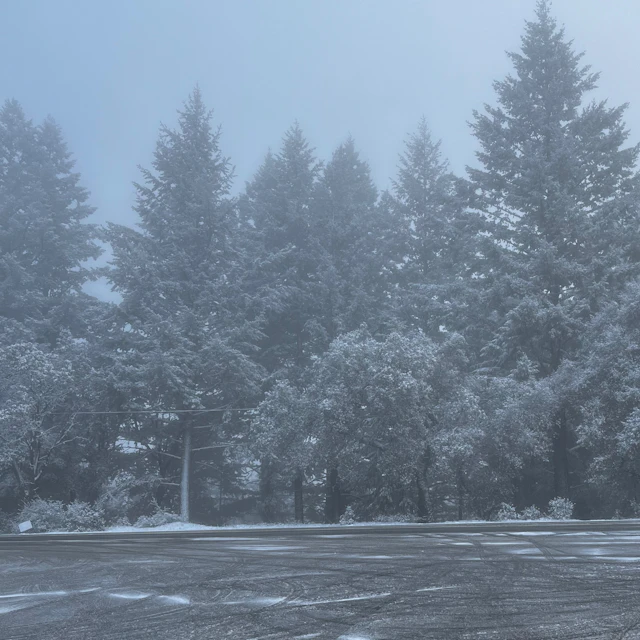 SJSU Improvisation Group - session 3.13.2026