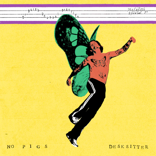 Dr Sure's Unusual Practice - No Pigs/Desksitter 7"
