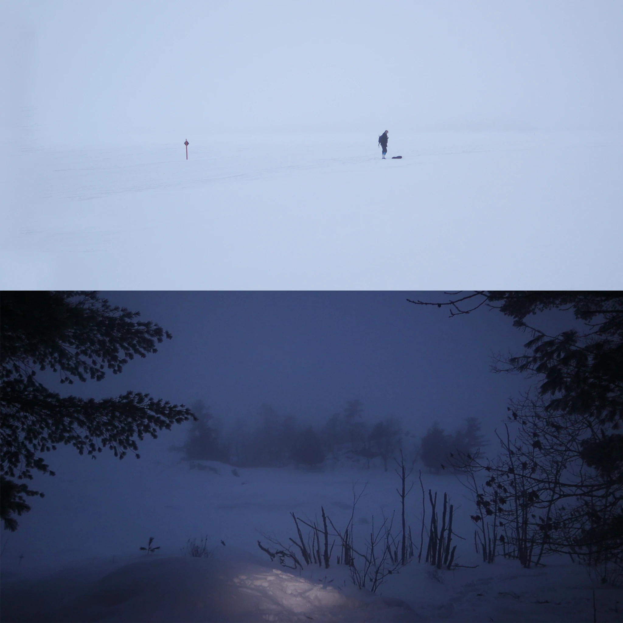 jamante - exteroception