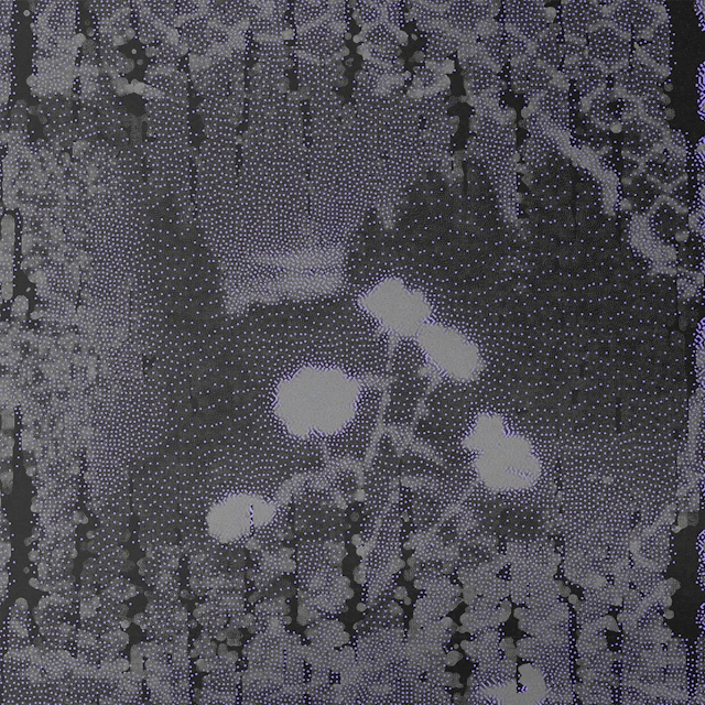 Spirea Crt. - Petal Prism