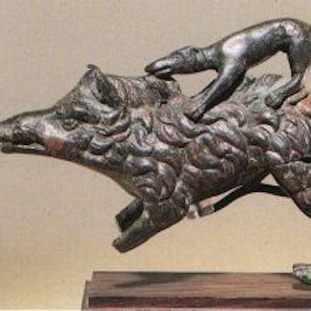 Trent Potions - Through a lens