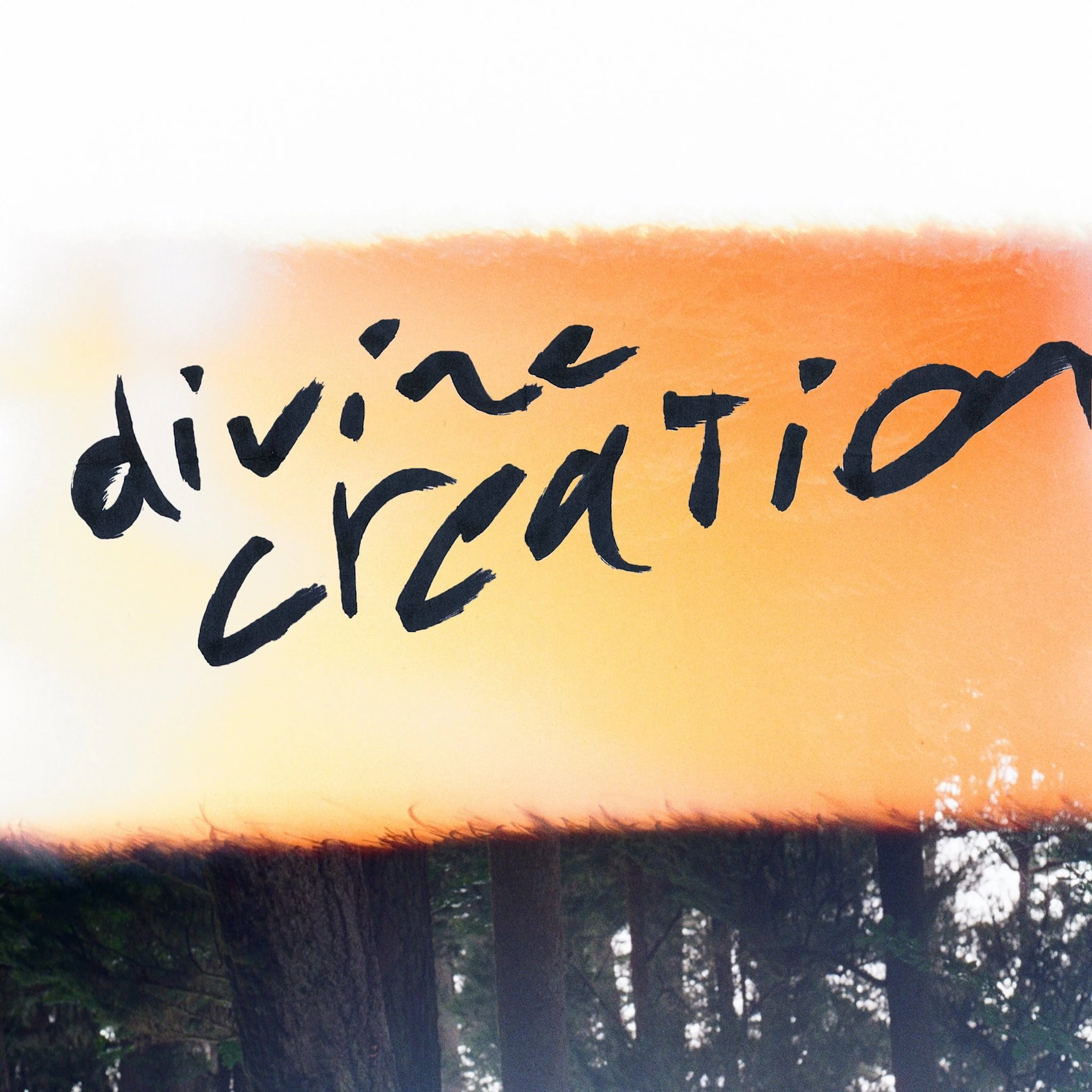 houseguest - divine creation