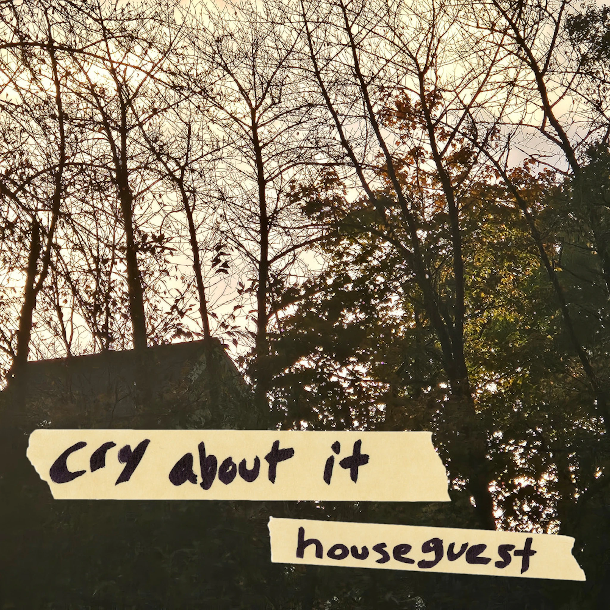 houseguest - cry about it