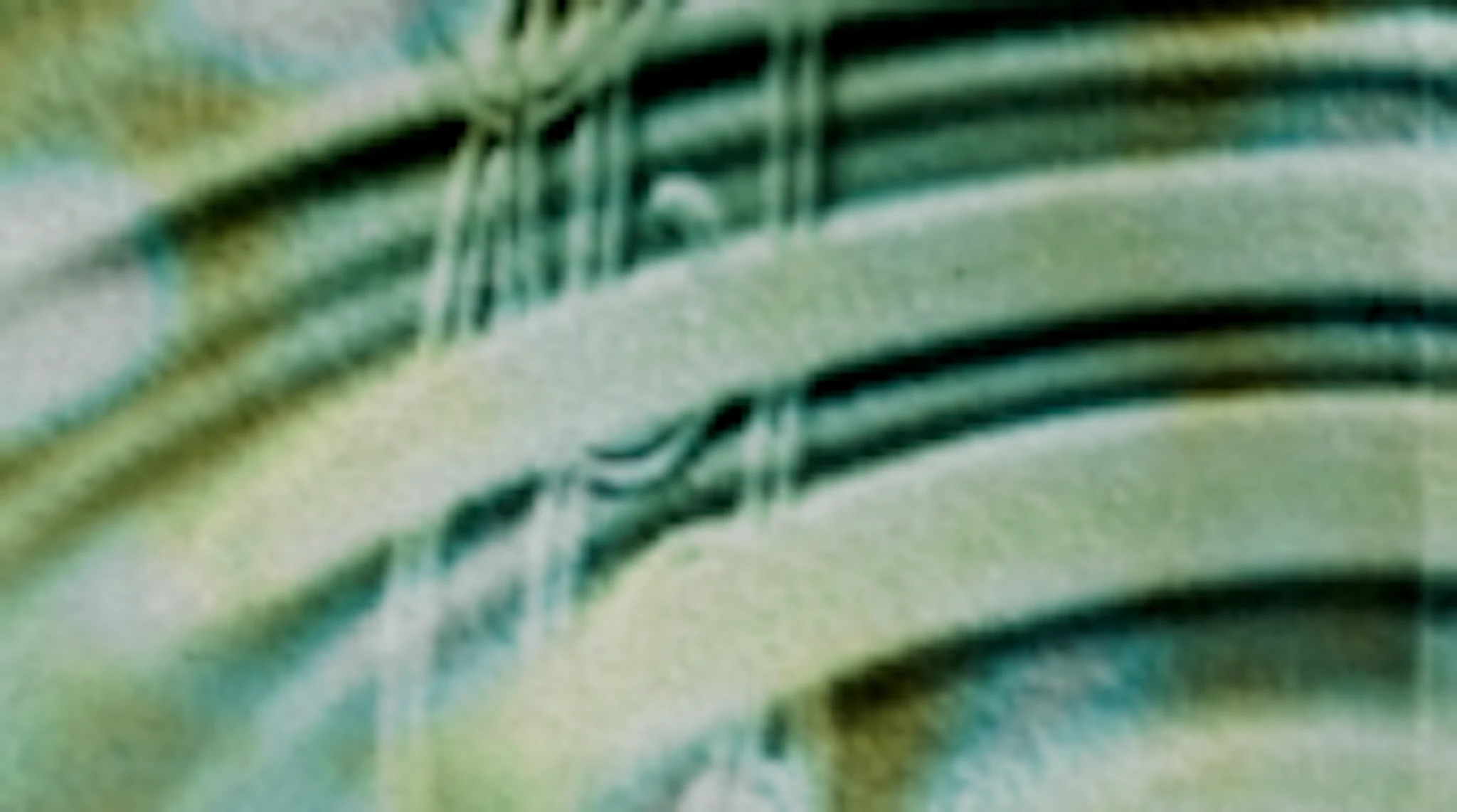 new collab release w/ Titi Calor