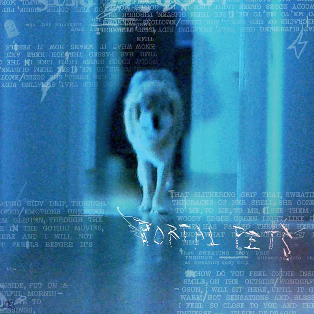 Portal Pets - Portal Pets