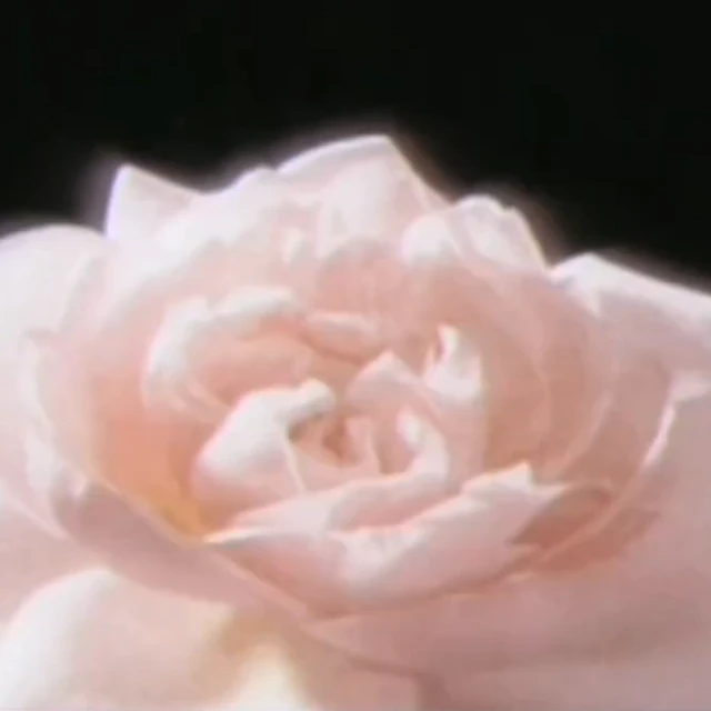 That Wednesday - D.Nill (Prod by onlyfleurmade)