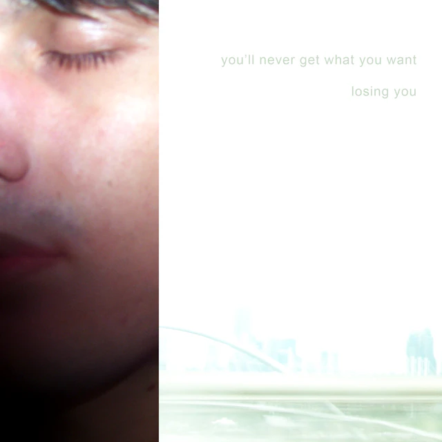 you'll never get what you want / losing you