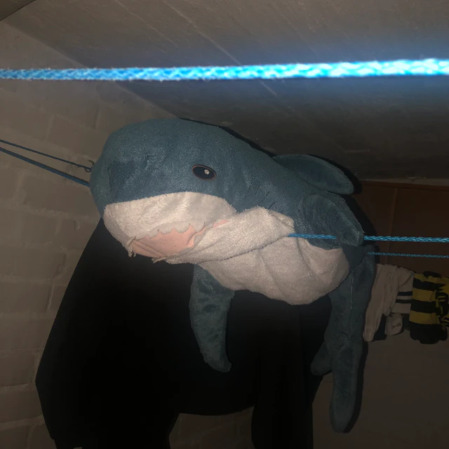 Rony Rex, Knife Girl - Provoke