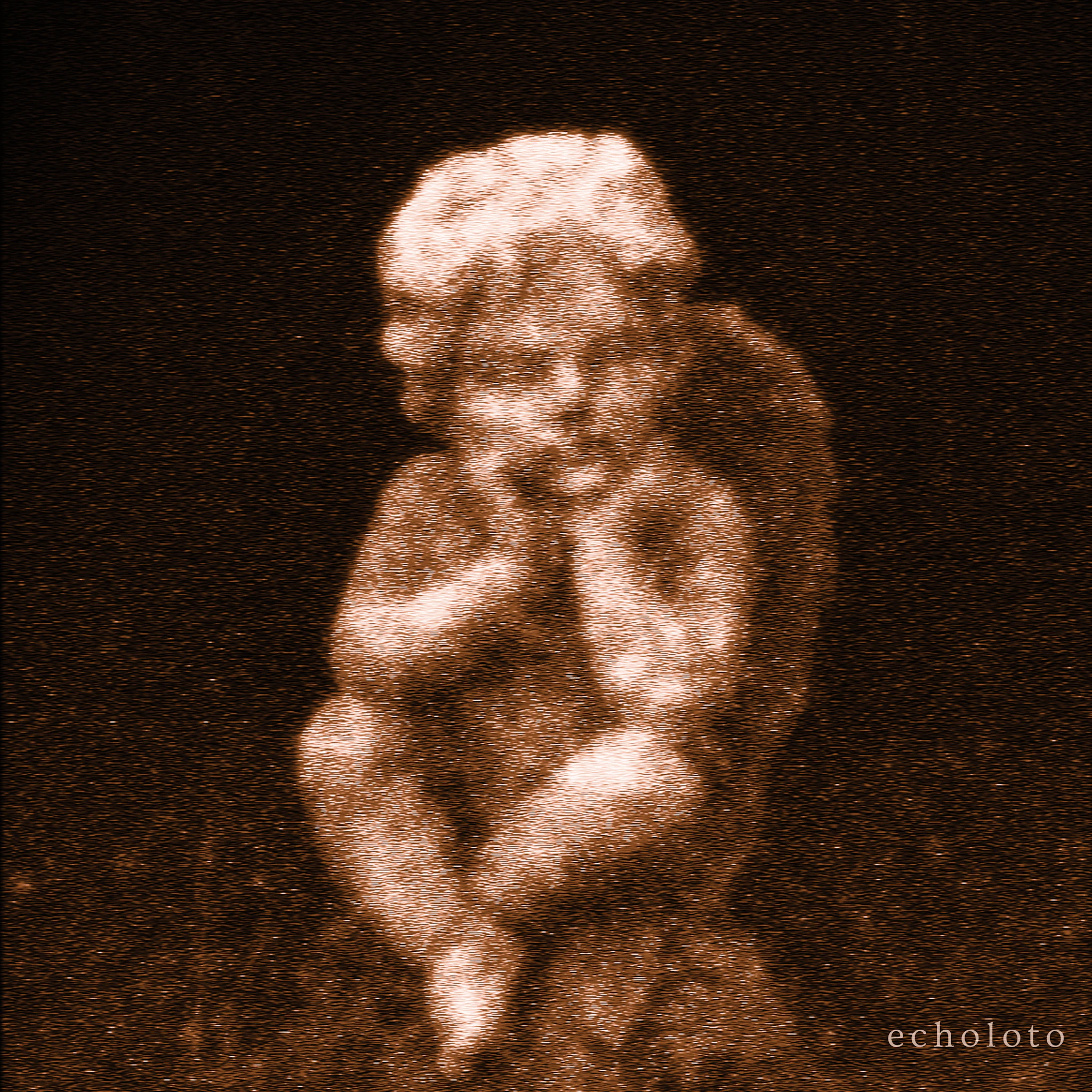 marat koshkin - echoloto