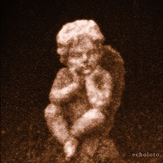 marat koshkin - echoloto