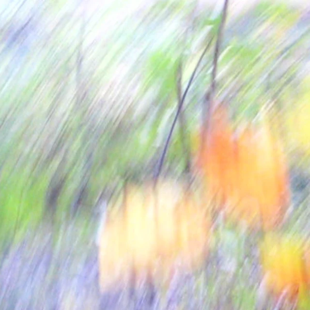 Transsexual Sounds (Full EP_reverie)