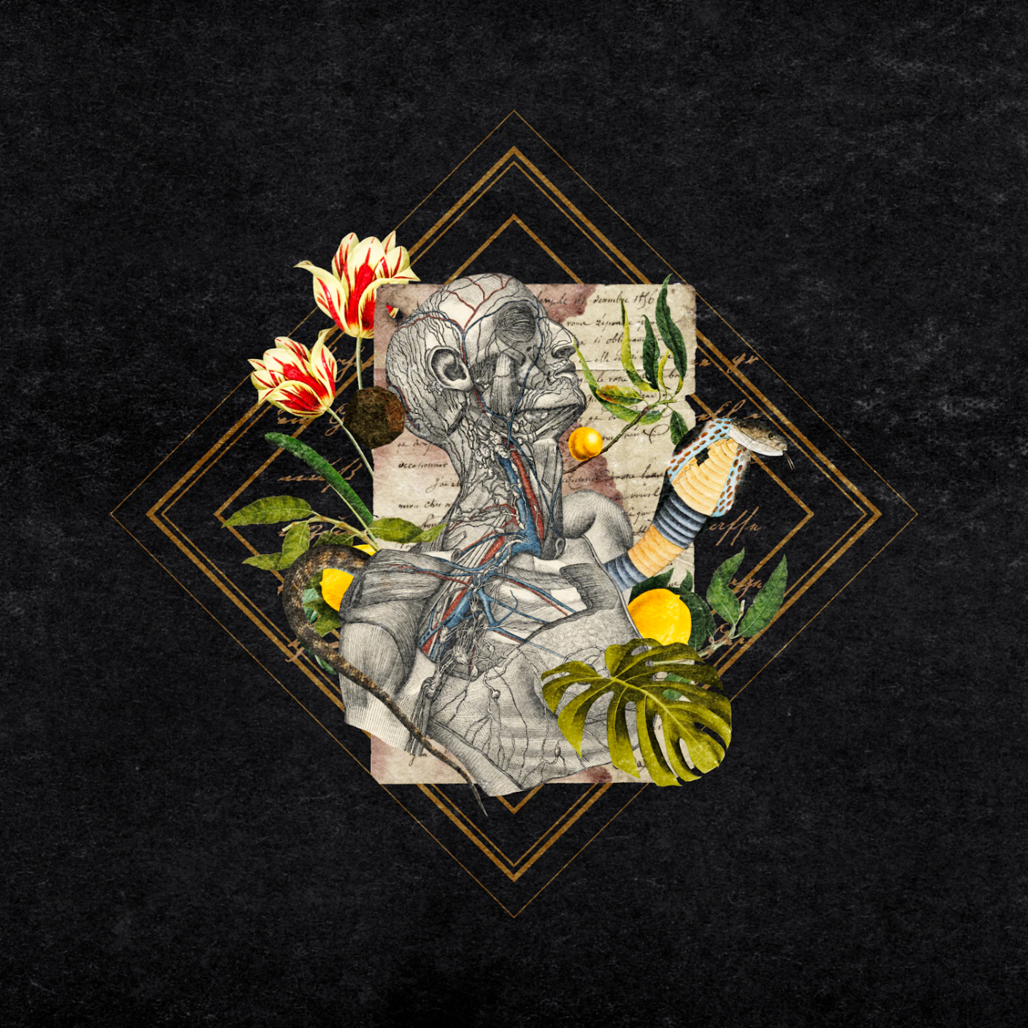 Go Bury Your Monsters - Body Language Vol.1