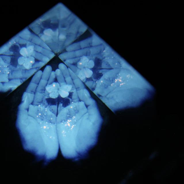 SPELLLING - Portrait of My Heart featuring Brendan Yates