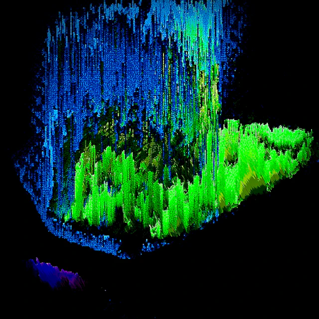 Risie, Choppie, Feedback.