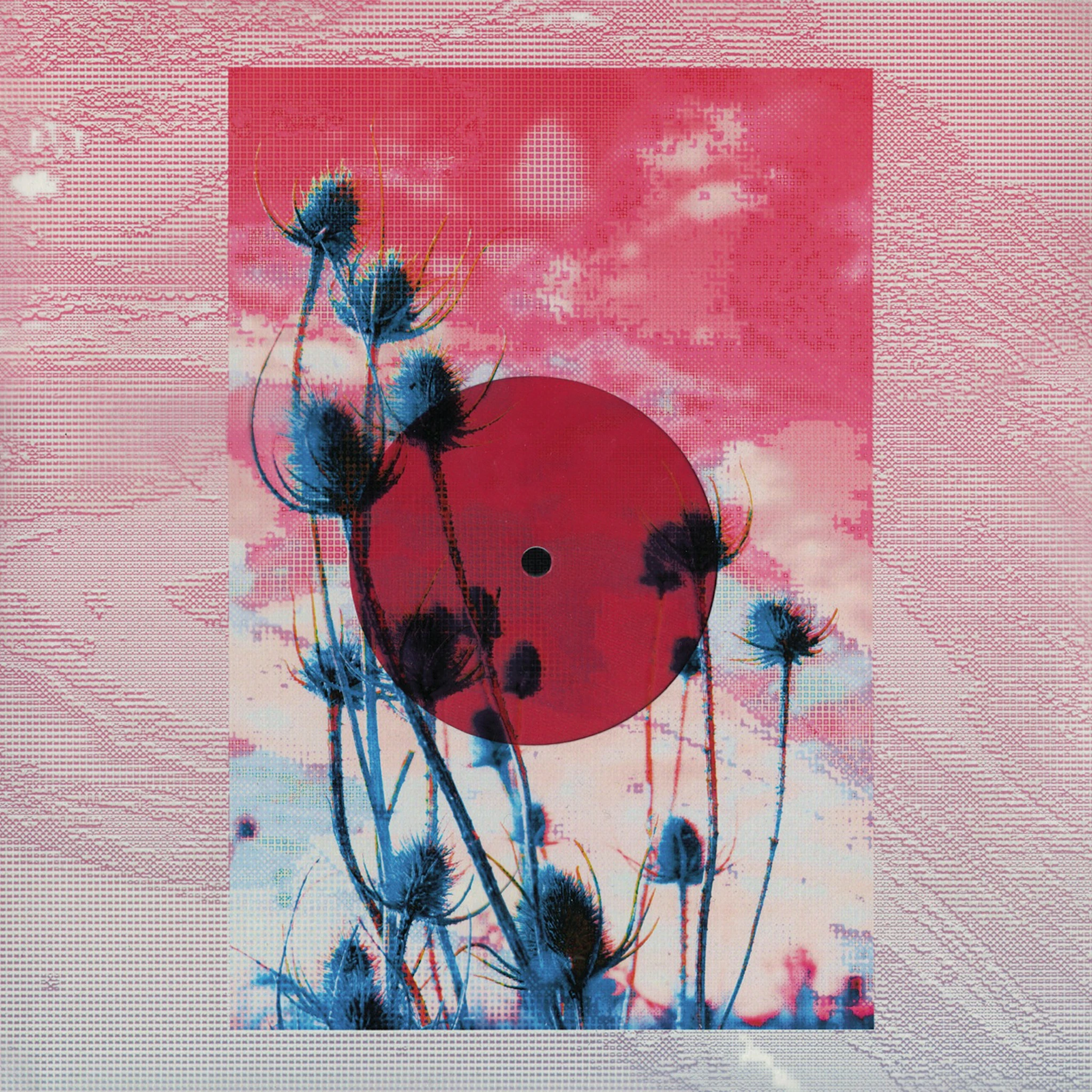 Narvalos - Selkis / Dakini