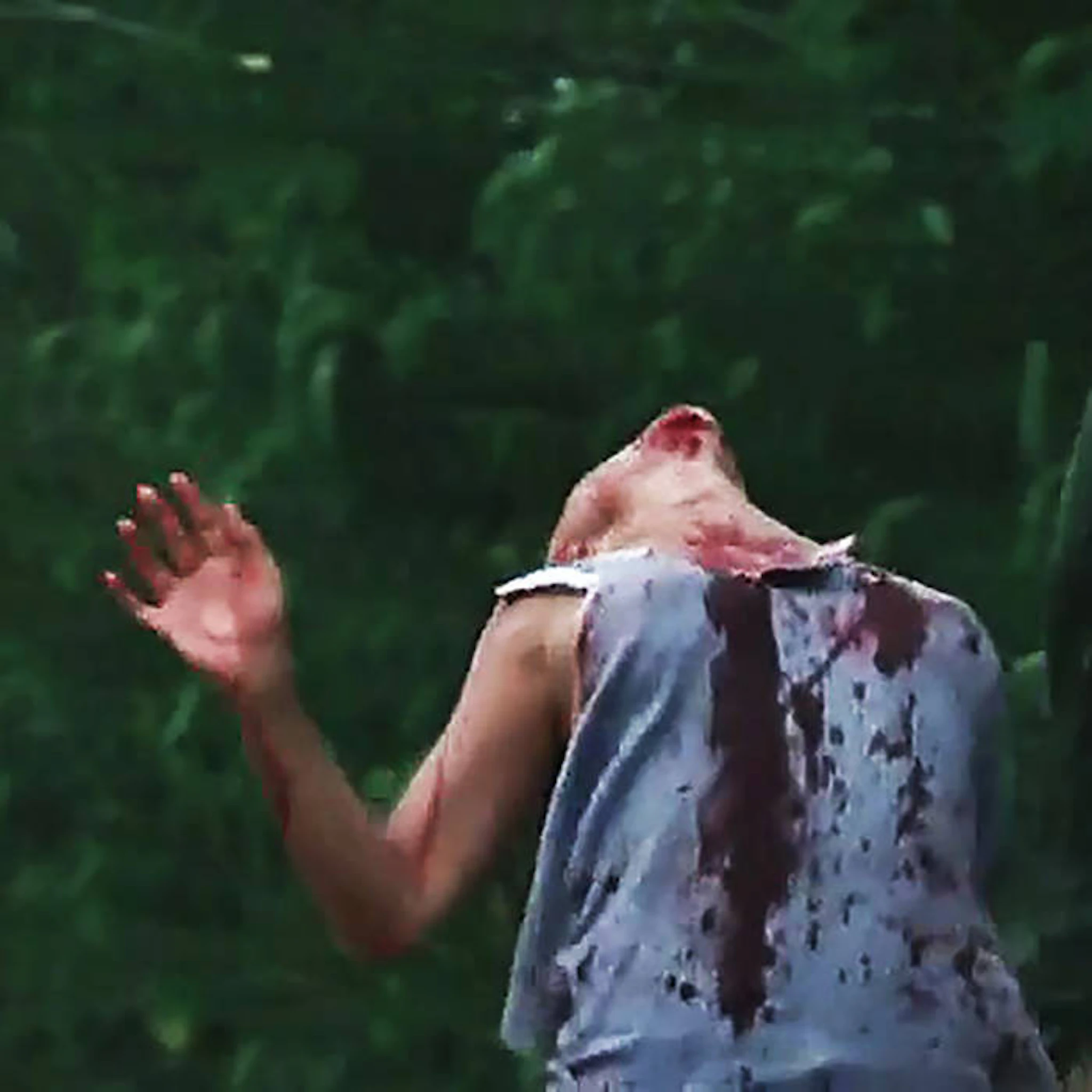 Fontanelle - TRINA HACKSAW