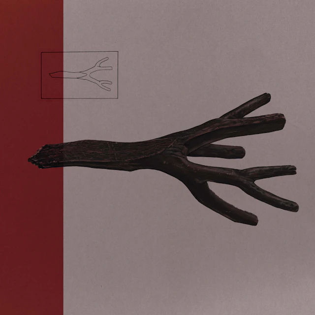 Cash O'Brien - Out on a Limb