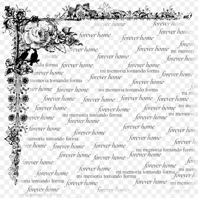 four song split (w/ forever home)