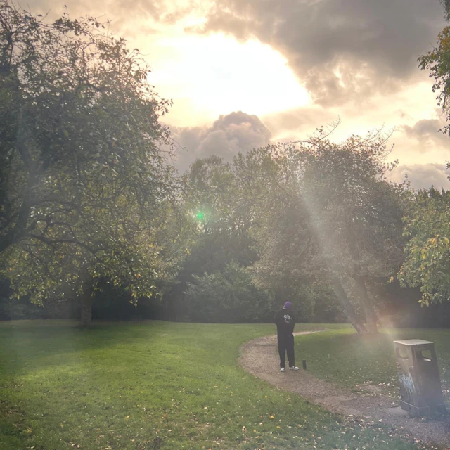 Tony Bontana - Forst Sight