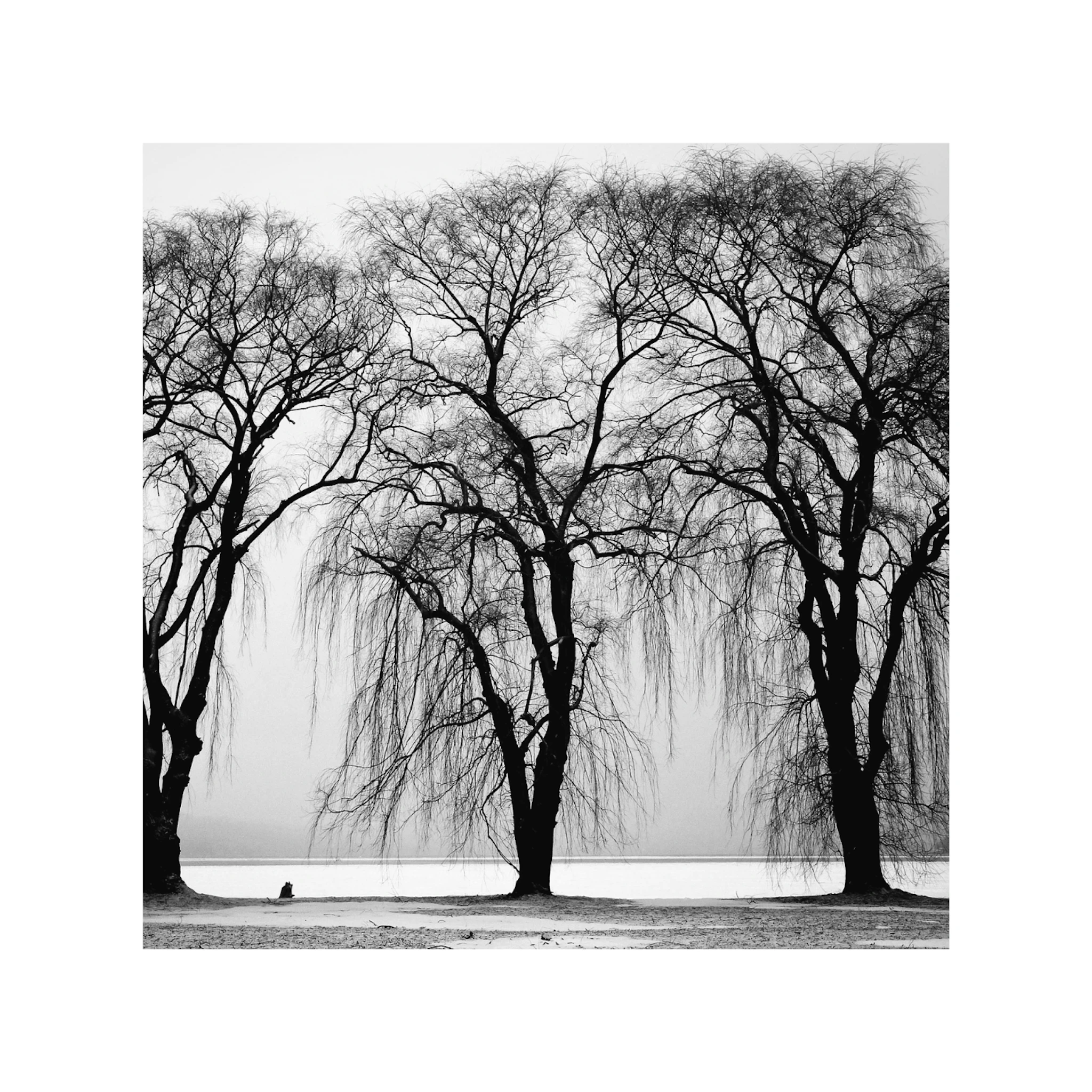 Richard P John - Endless Song 8