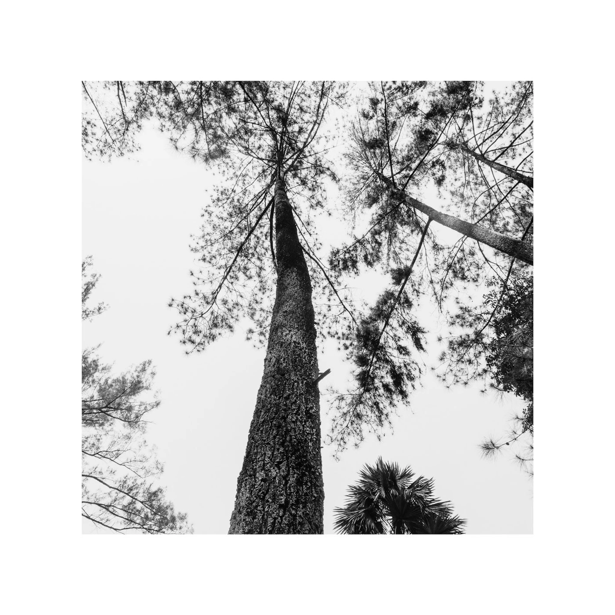 Richard P John - Endless Song 6