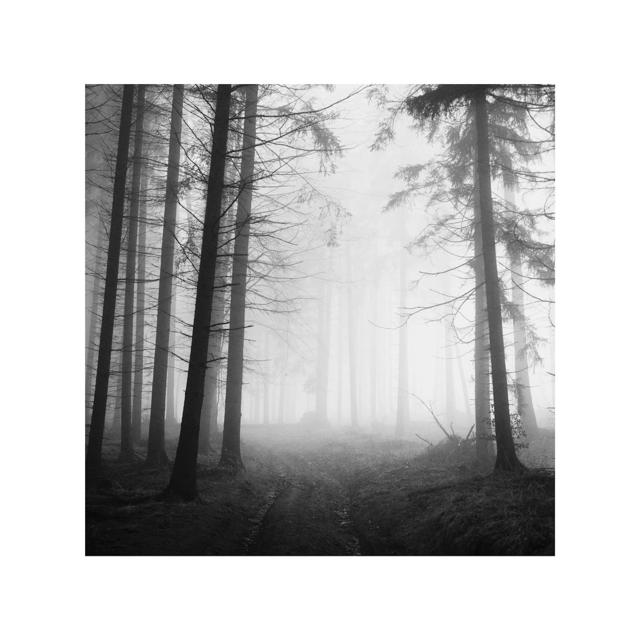 Richard P John - Endless Song 7