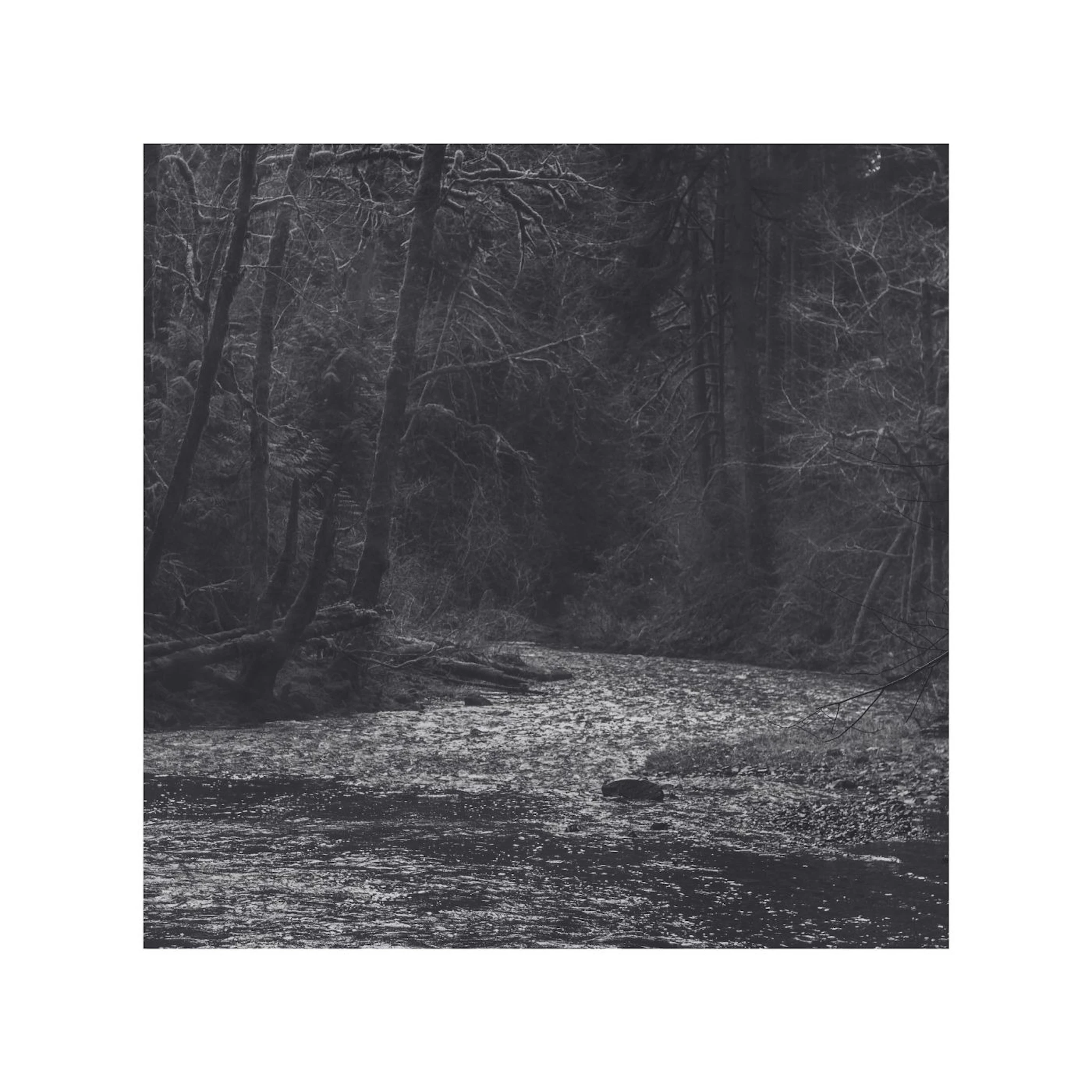 Richard P John - Endless Song 13
