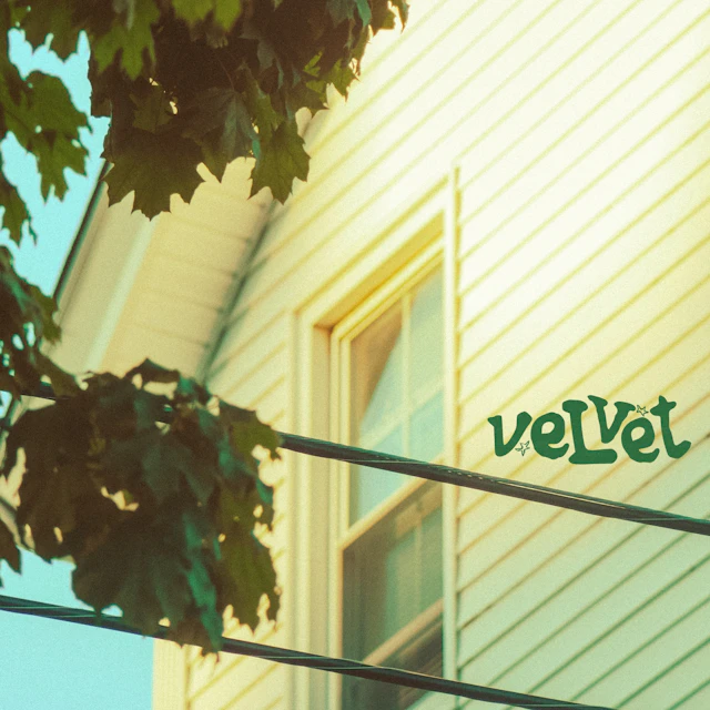 Velvet - Winter & Spring