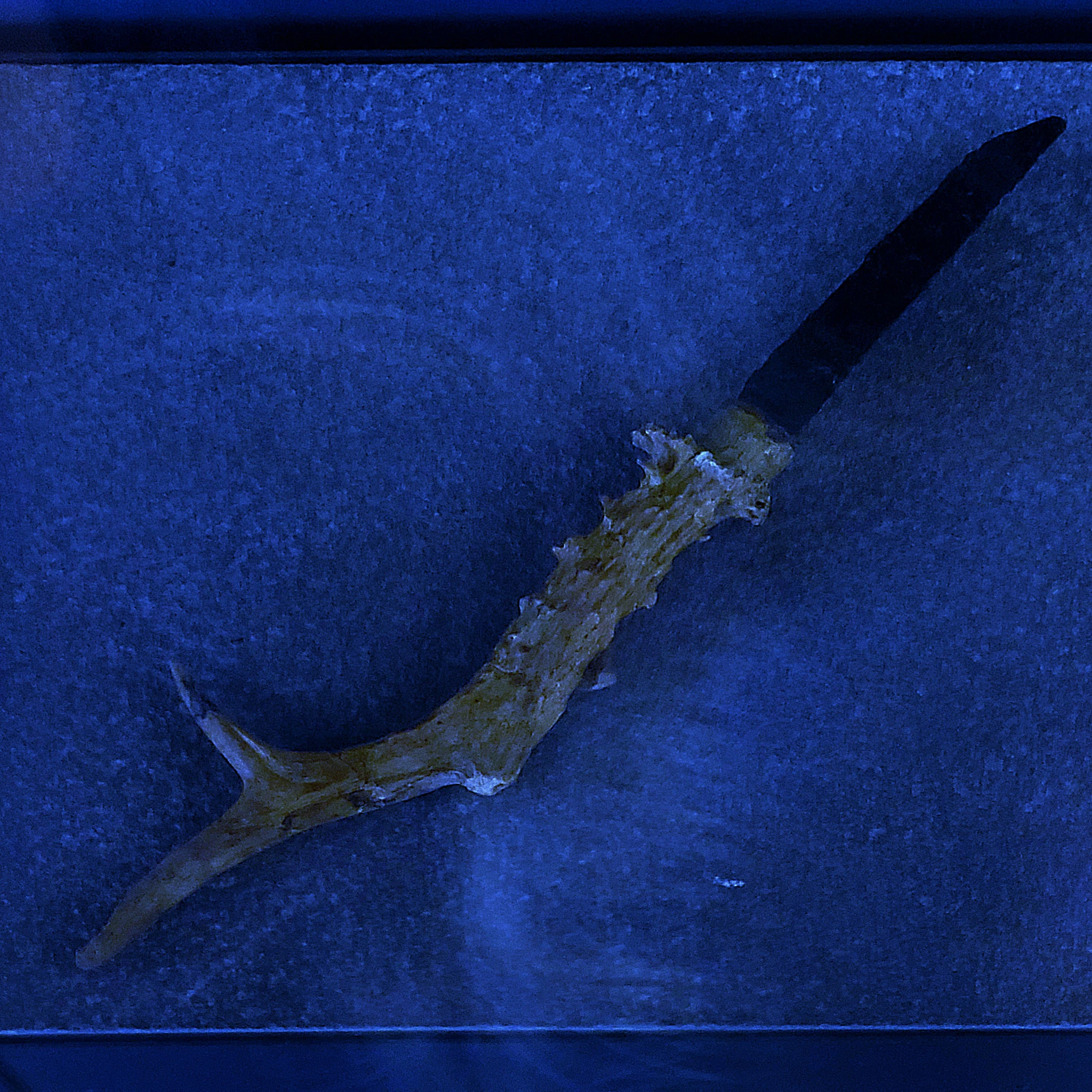 Kill Travis, sleepr, Ali - Bleeder